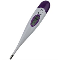 Digital Febertermometer