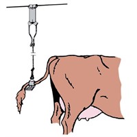 Kosvanshållare Komplett - illustration