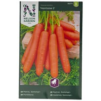 Morot Sommar "Nantaise 2"