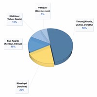 Optivall Delikat