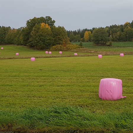 Sträckfilm