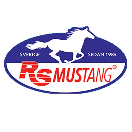 mustang.jpg 